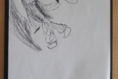 IMG_20250416_201216_942