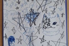 IMG_20250416_201217_524